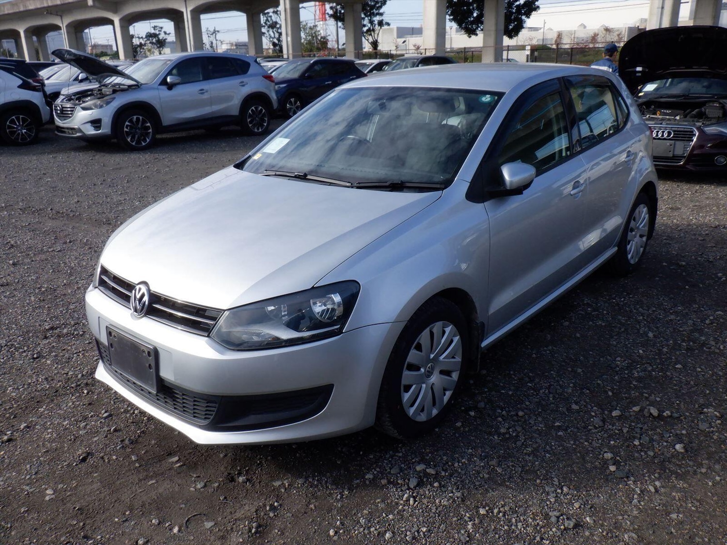 Used Volkswagen Polo for sale - 77799318: Photo 1