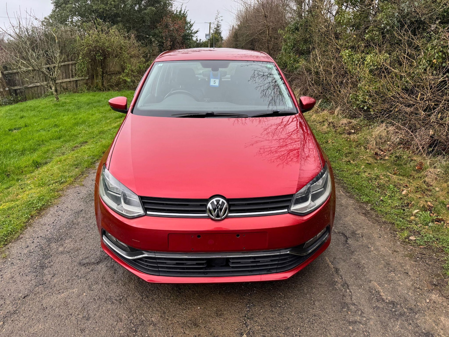 Used Volkswagen Polo for sale - 77753948: Photo 12