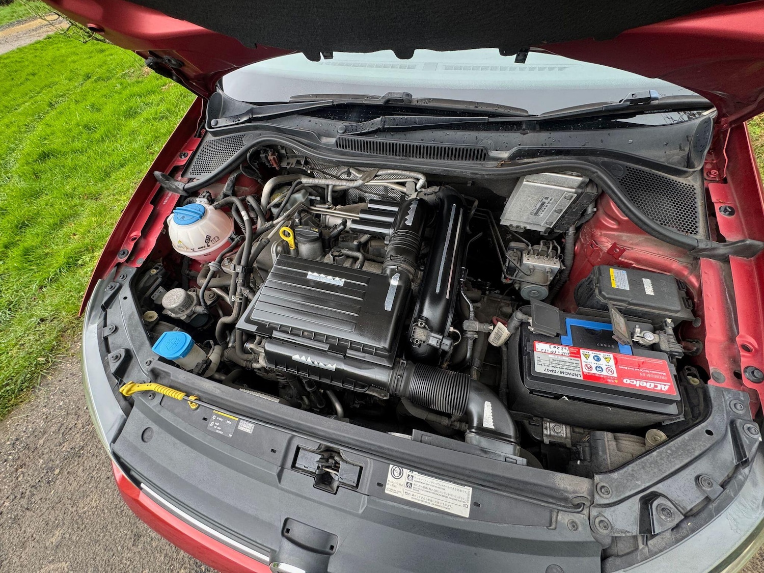 Used Volkswagen Polo for sale - 77753948: Photo 42