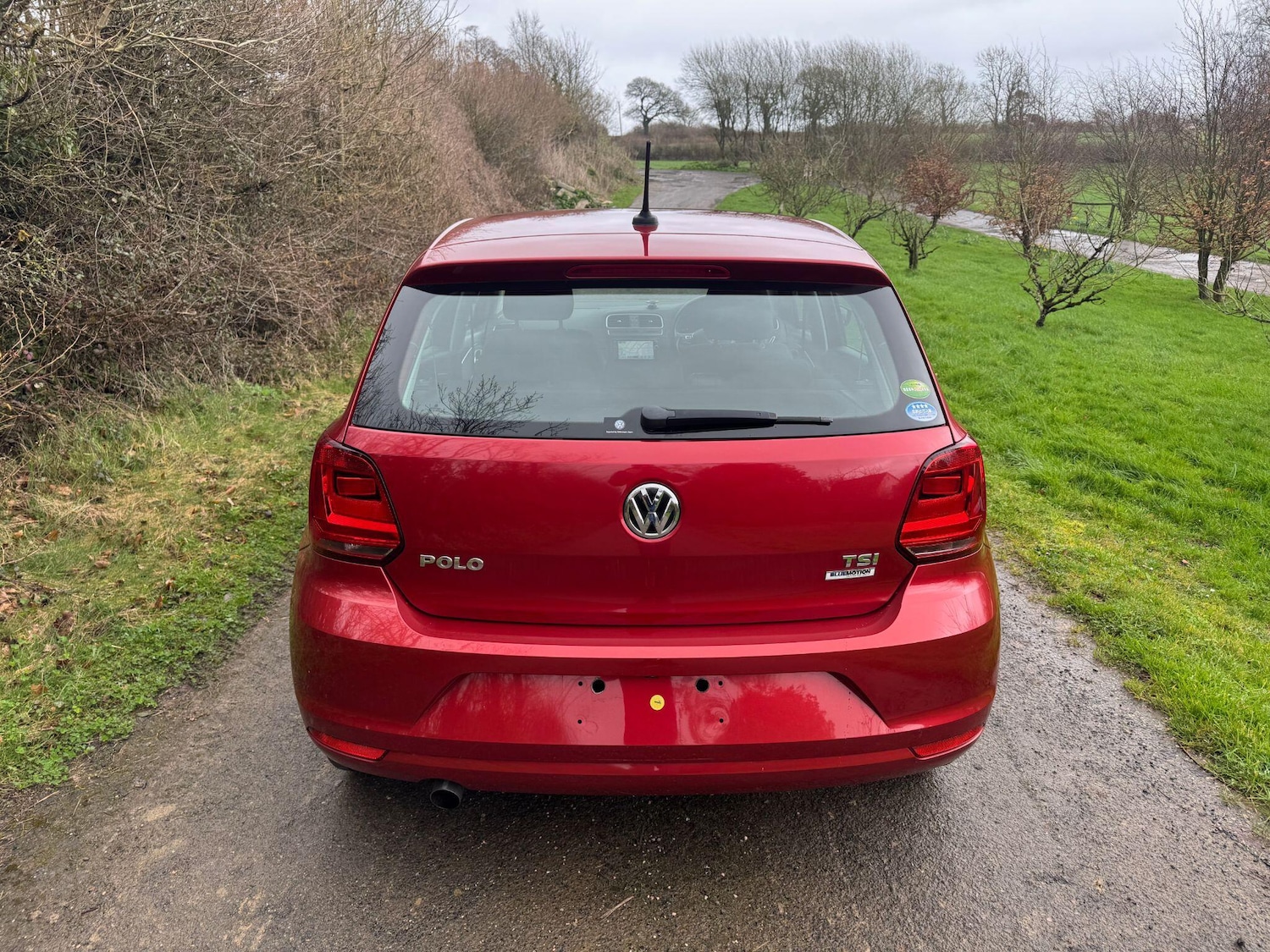 Used Volkswagen Polo for sale - 77753948: Photo 6