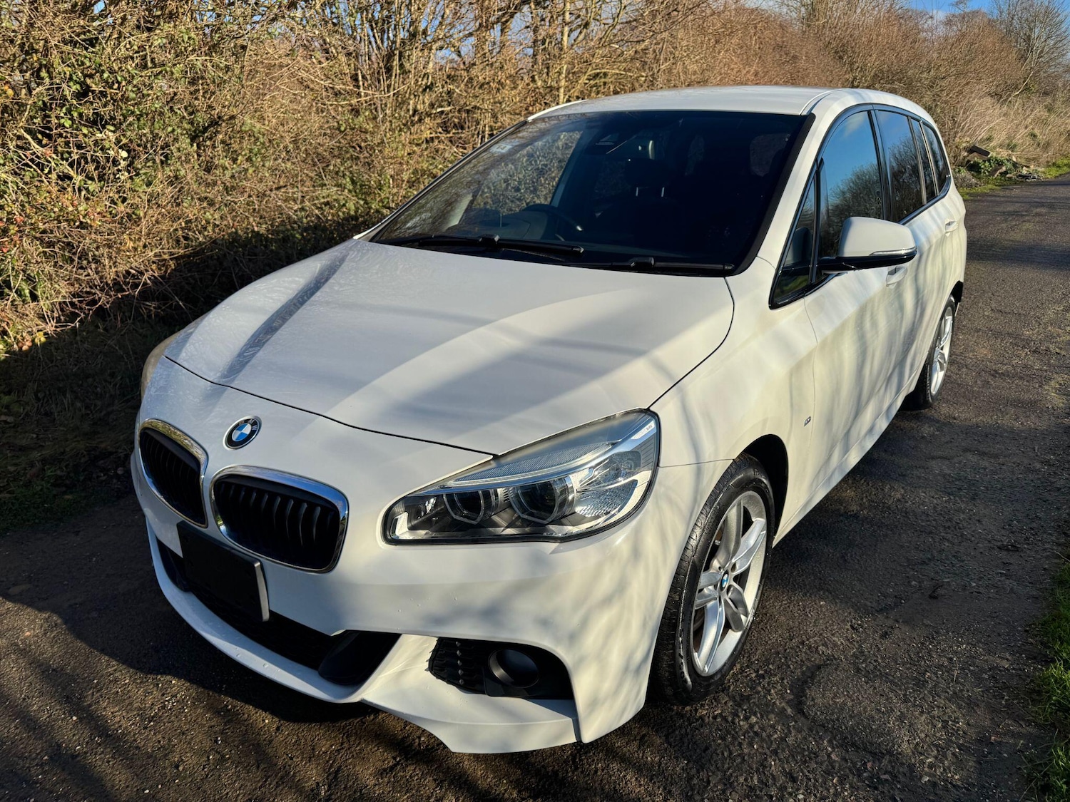 Used BMW 2 Series Gran Tourer for sale - 77351767: Photo 1