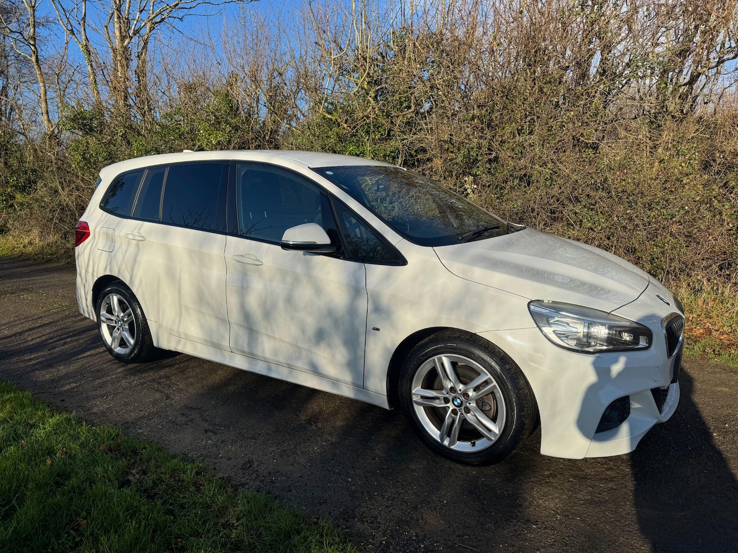 Used BMW 2 Series Gran Tourer for sale - 77351767: Photo 10