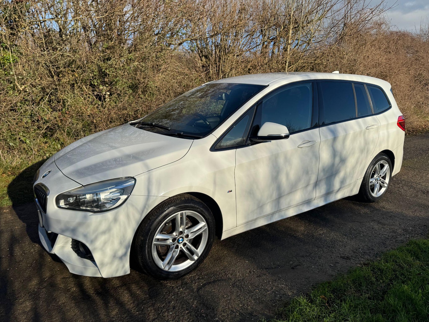 Used BMW 2 Series Gran Tourer for sale - 77351767: Photo 2