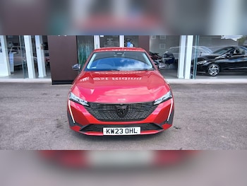 Used Peugeot 308 2023 for sale - 79429794: Photo