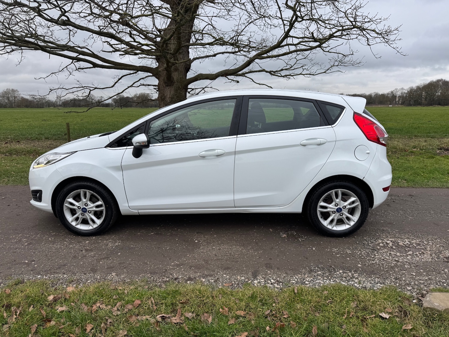 Used Ford Fiesta 2016 for sale - 77505973: Photo 2