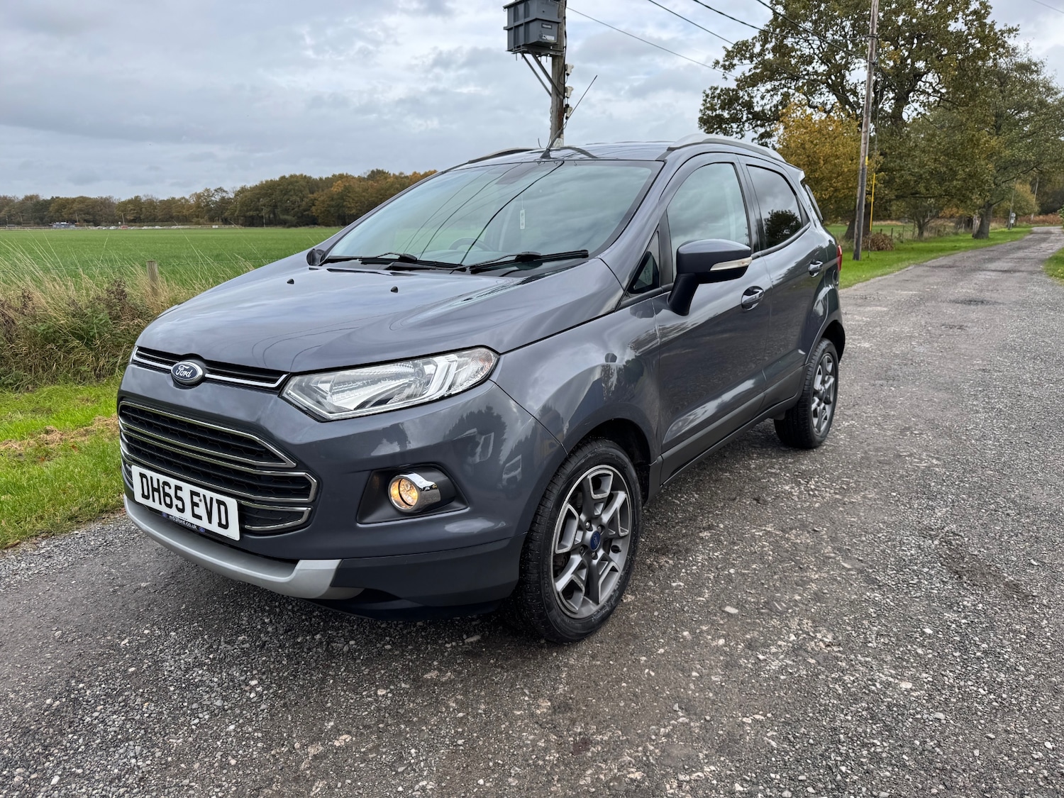 Used Ford Ecosport 2016 for sale - 76426481: Photo 1