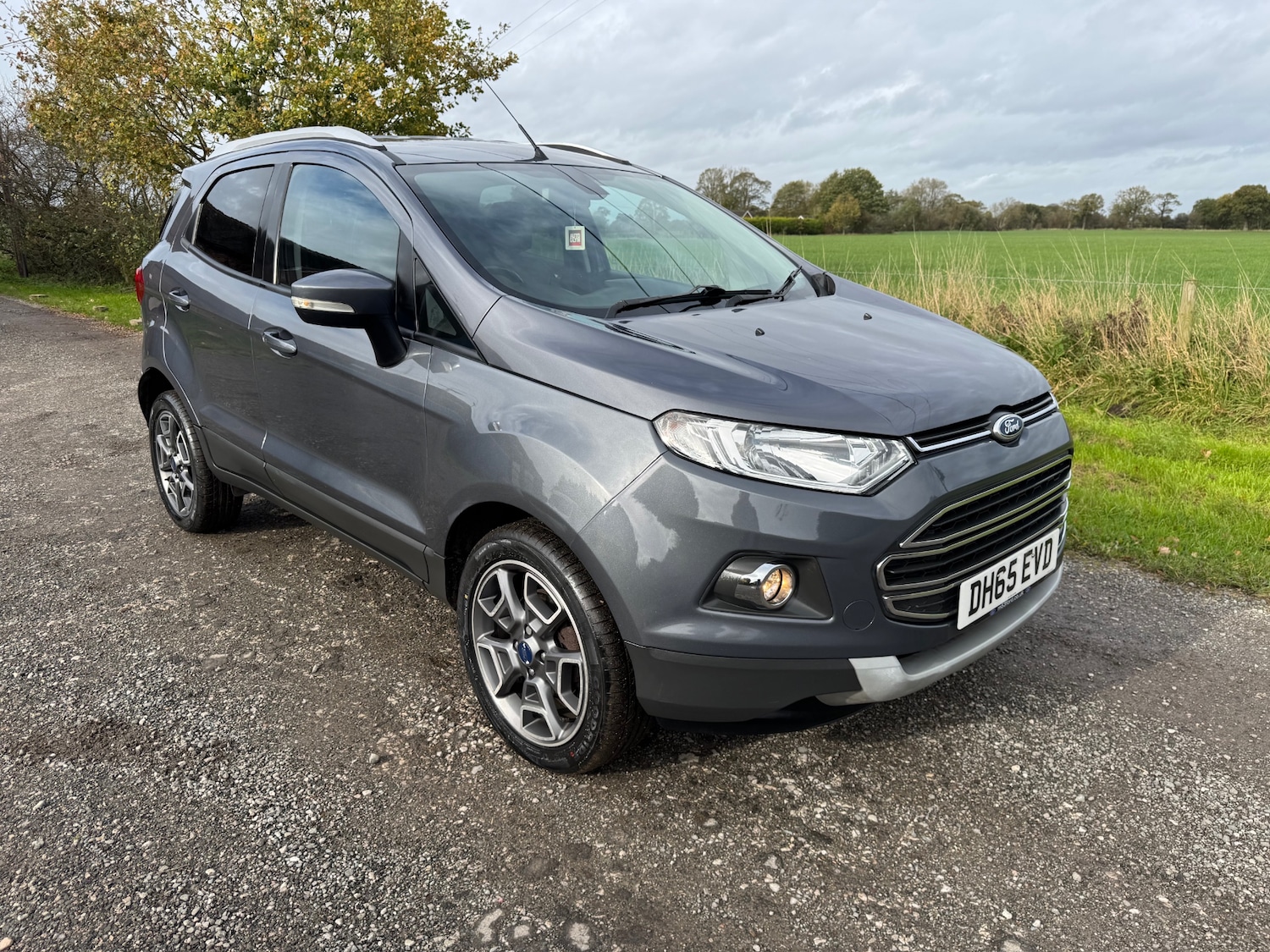 Used Ford Ecosport 2016 for sale - 76426481: Photo 6