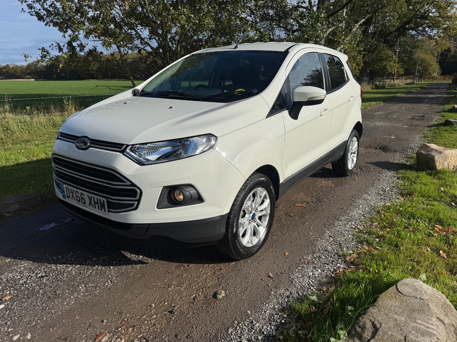Used Ford Ecosport 2016 for sale - 76352725: Photo 1
