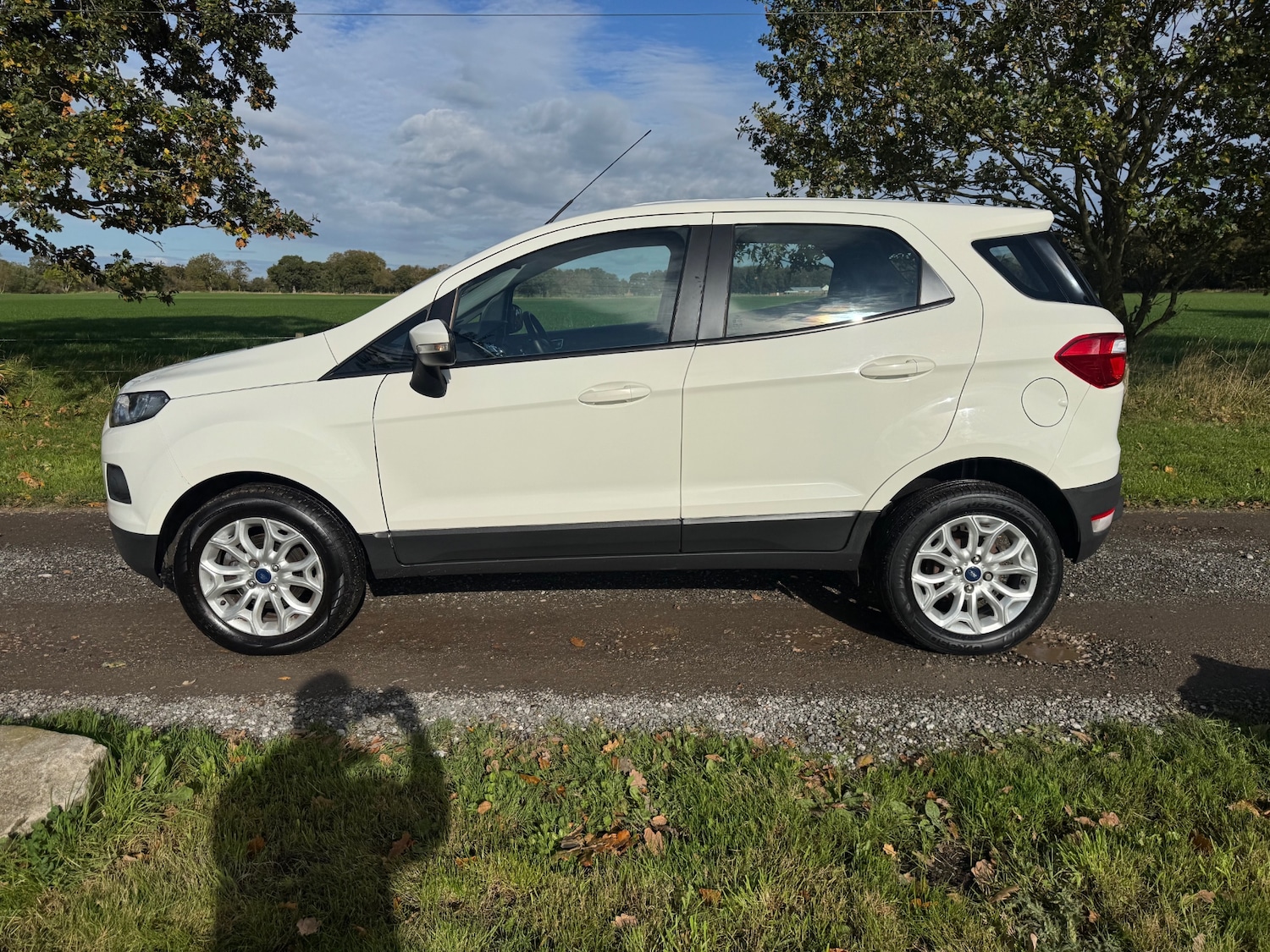 Used Ford Ecosport 2016 for sale - 76352725: Photo 2