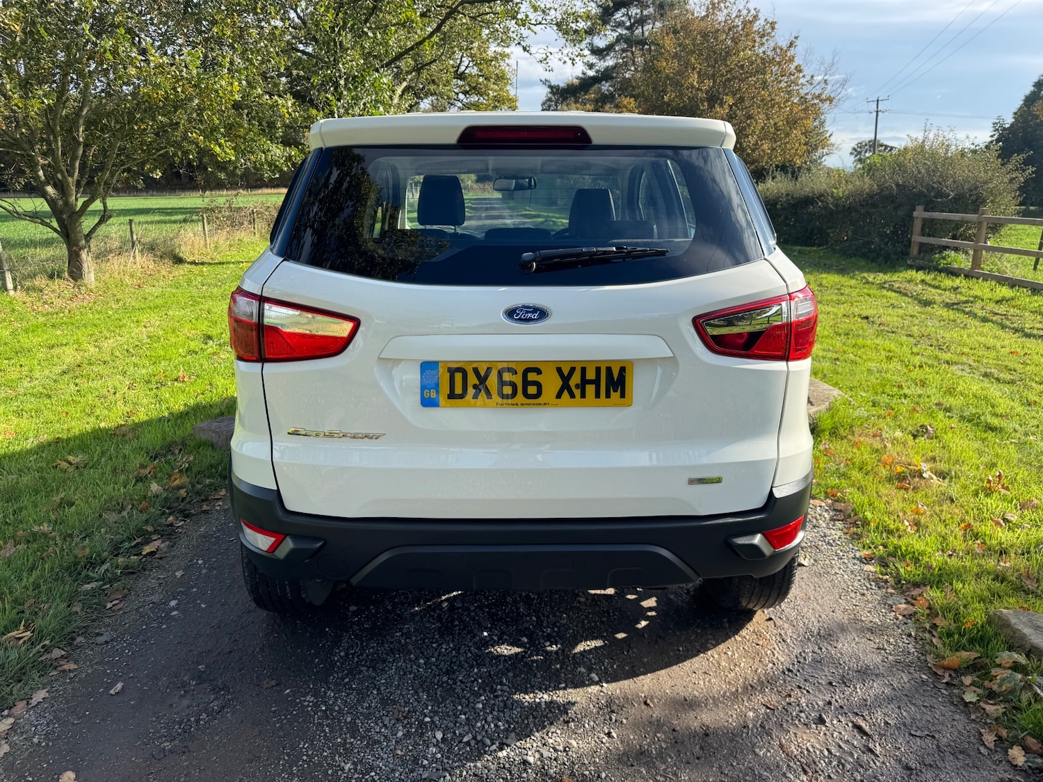 Used Ford Ecosport 2016 for sale - 76352725: Photo 4
