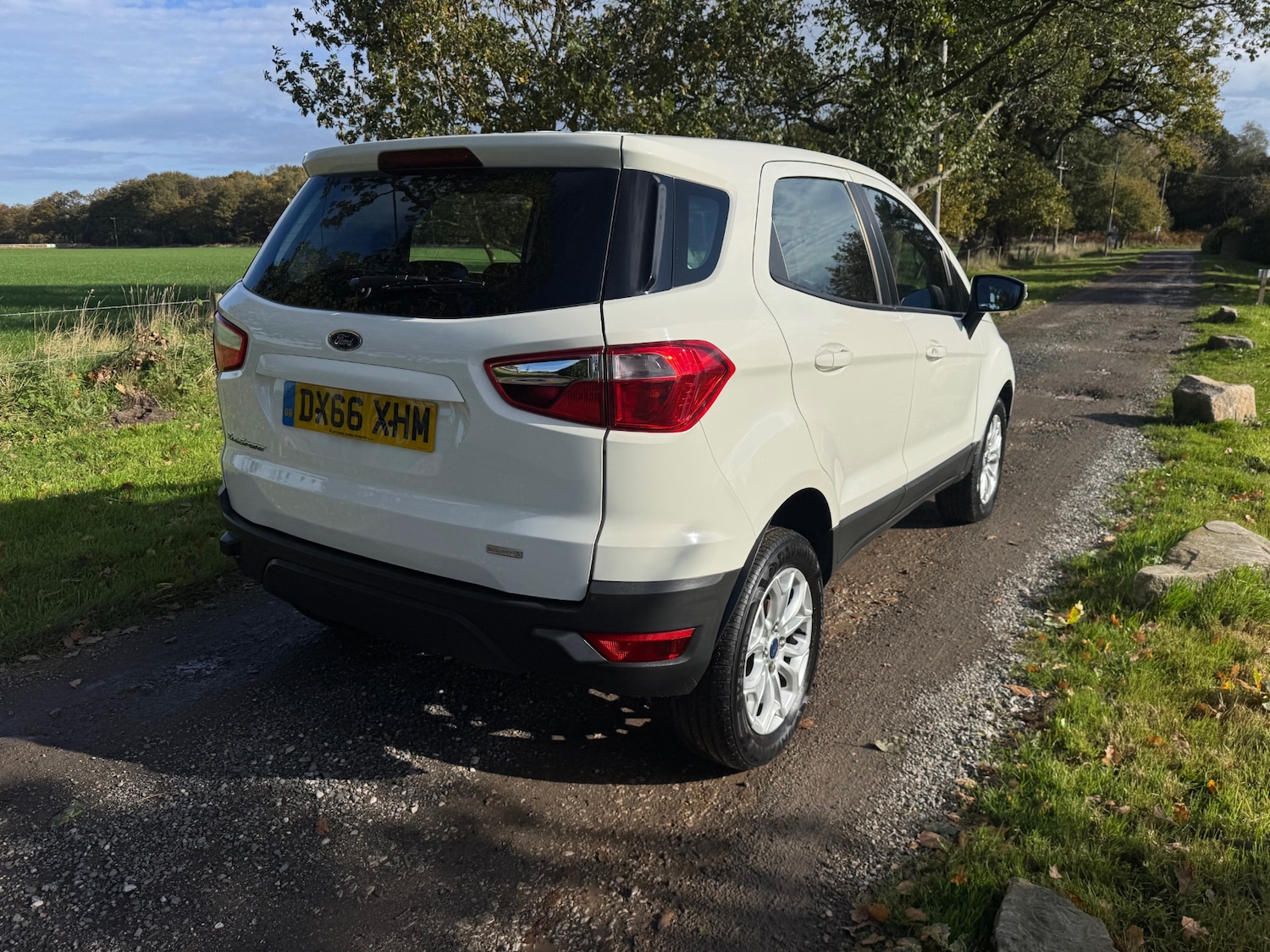 Used Ford Ecosport 2016 for sale - 76352725: Photo 5