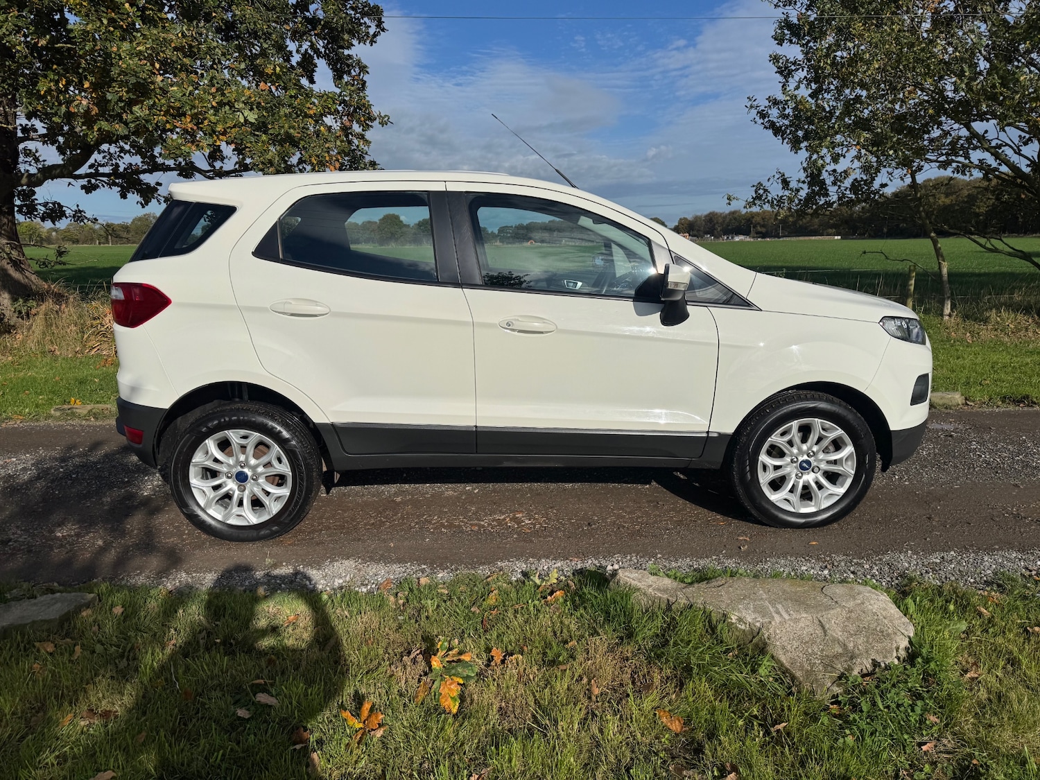 Used Ford Ecosport 2016 for sale - 76352725: Photo 6