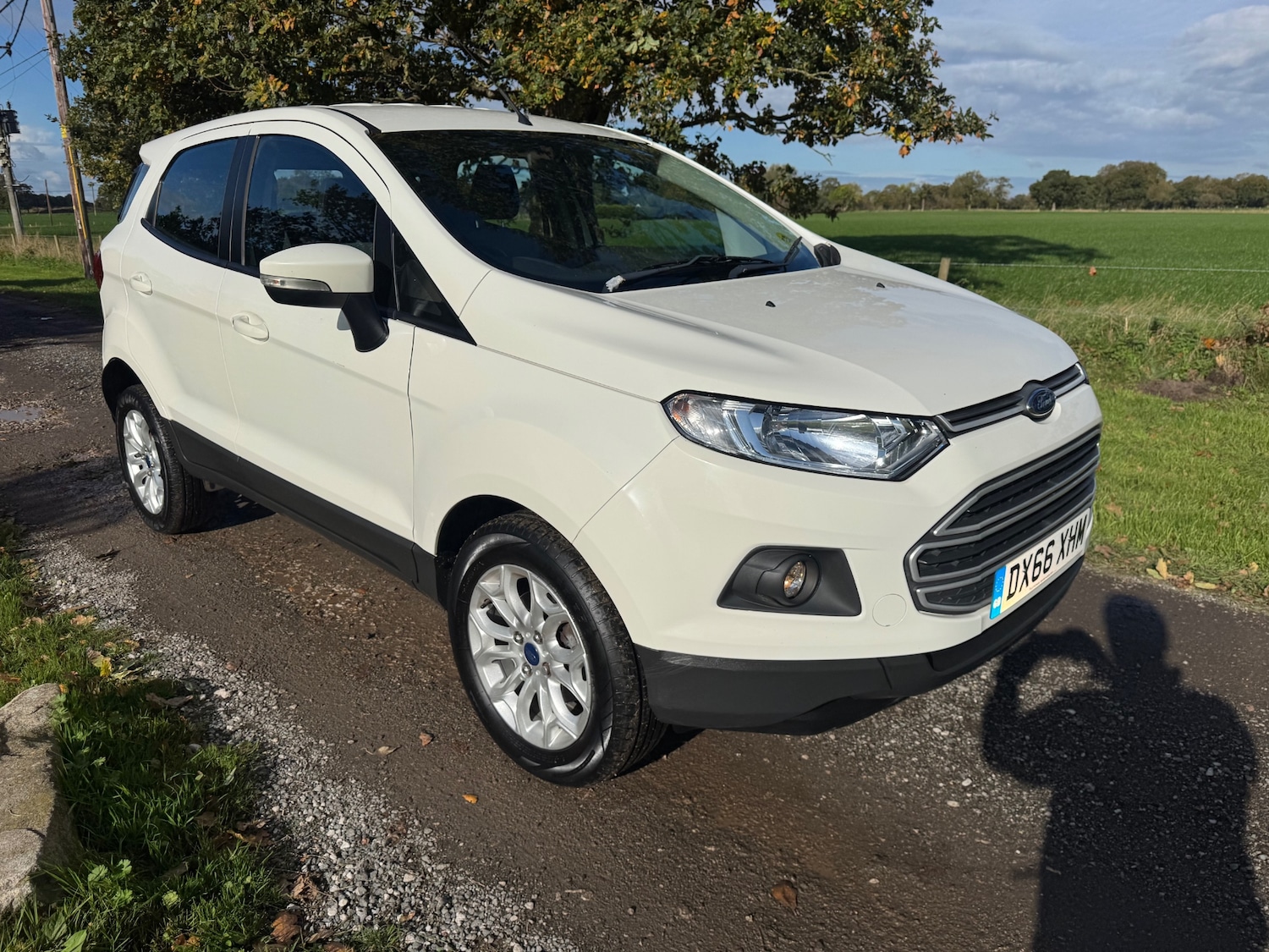 Used Ford Ecosport 2016 for sale - 76352725: Photo 7