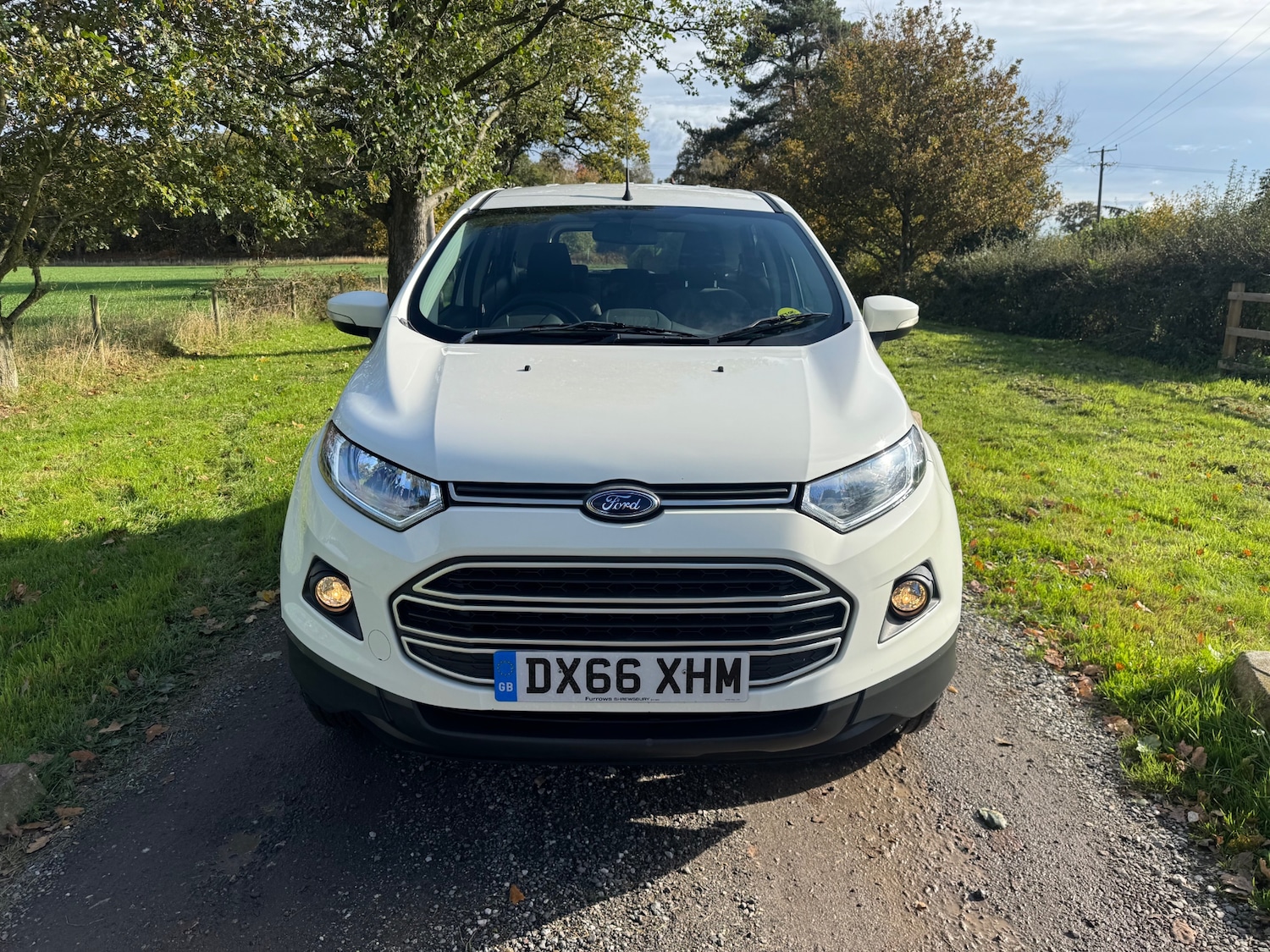 Used Ford Ecosport 2016 for sale - 76352725: Photo 8