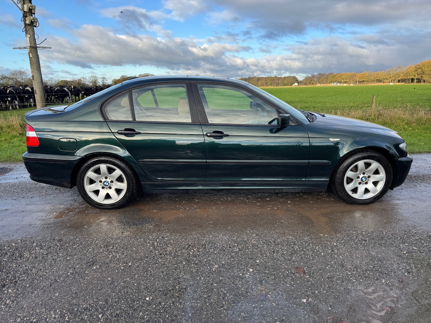 Used BMW 3 Series 2001 for sale - 76682432: Photo 5