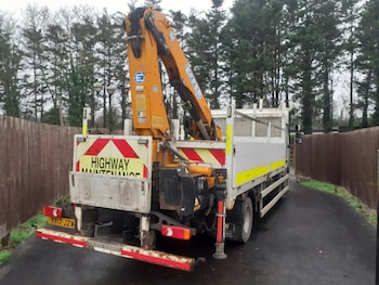 Used Renault Other 2017 for sale - 77423603: Photo