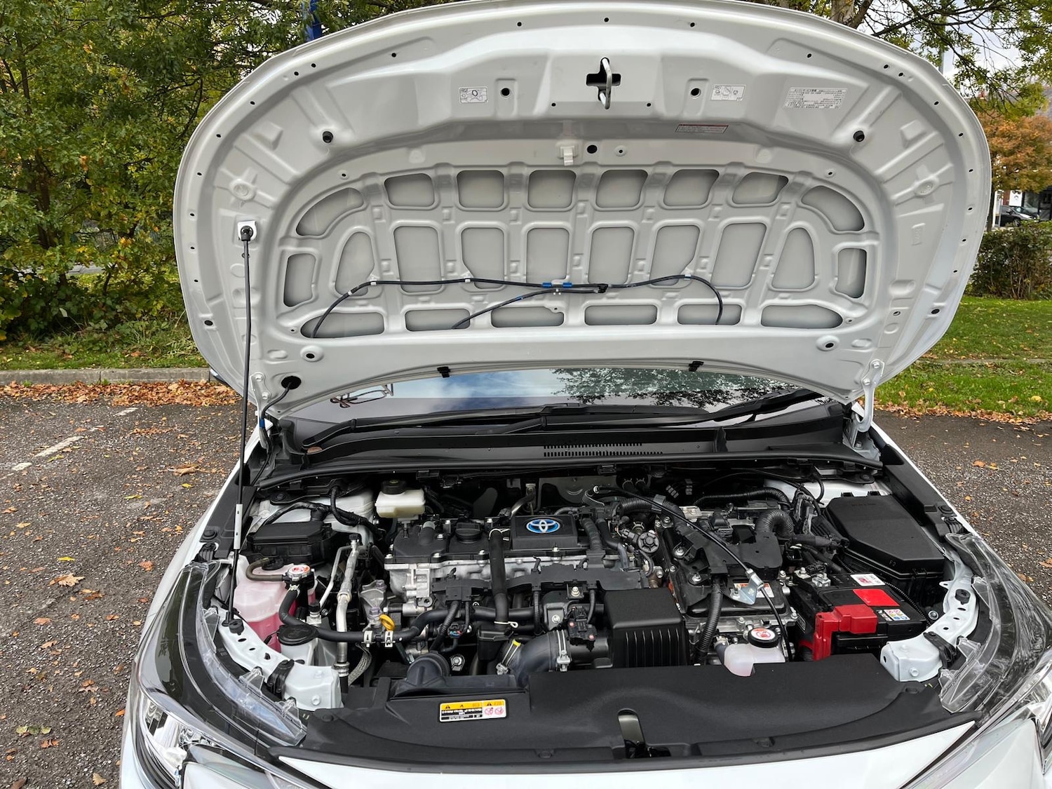 Used Toyota Corolla 2025 for sale - 76334692: Photo 16