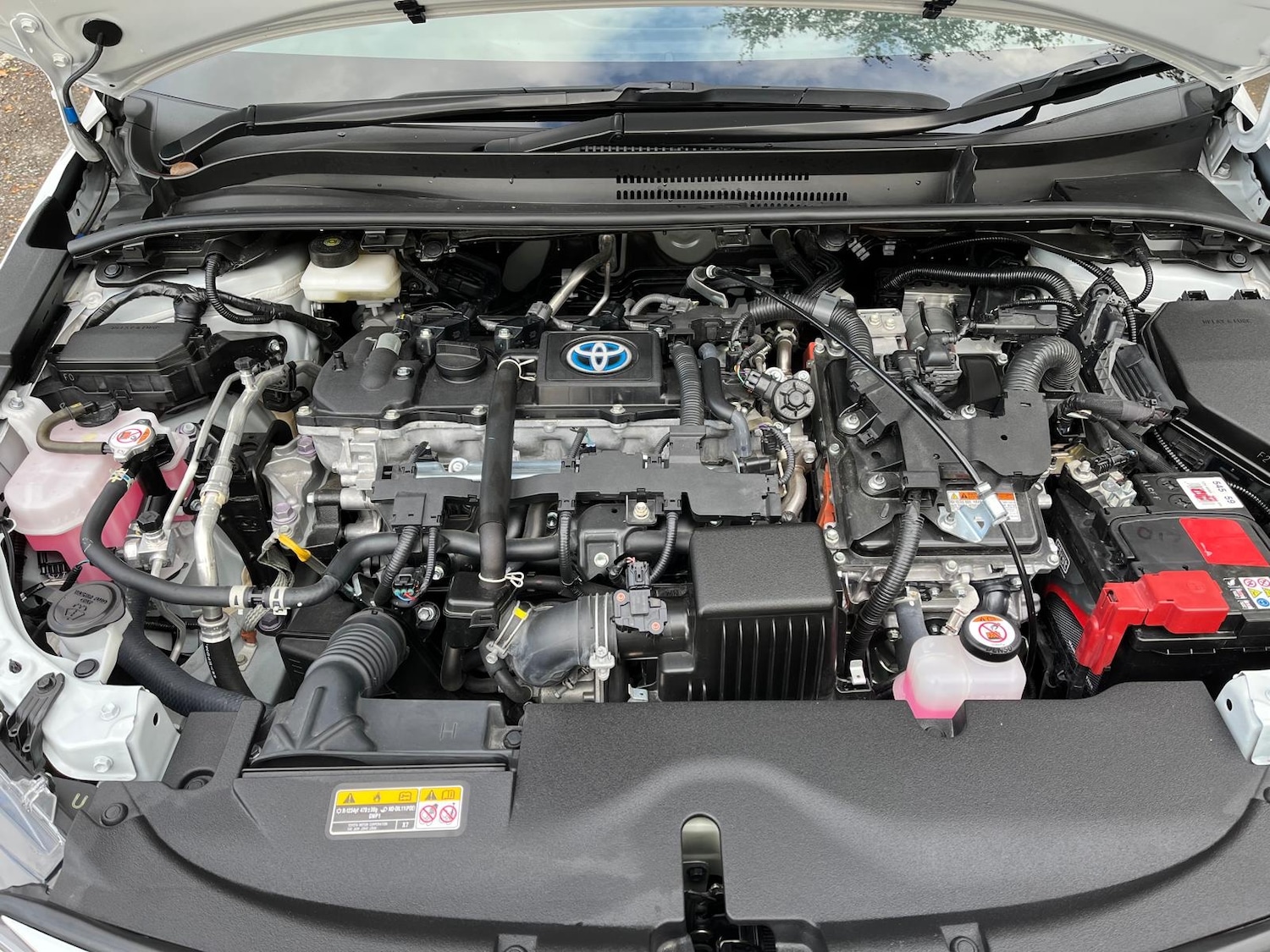 Used Toyota Corolla 2025 for sale - 76334692: Photo 17