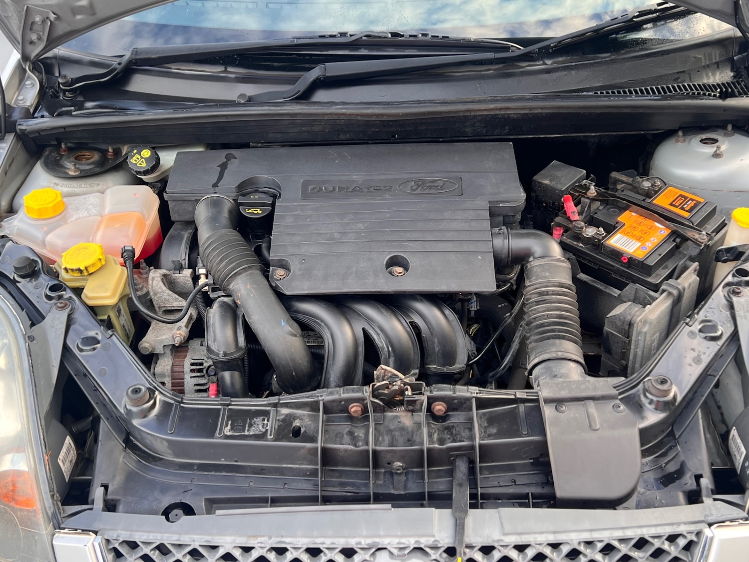 Used Ford Fiesta 2006 for sale - 77240773: Photo 15