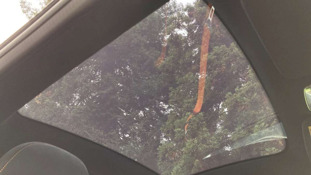 Used McLaren 570GT 2017 for sale - 76524031: Photo 29