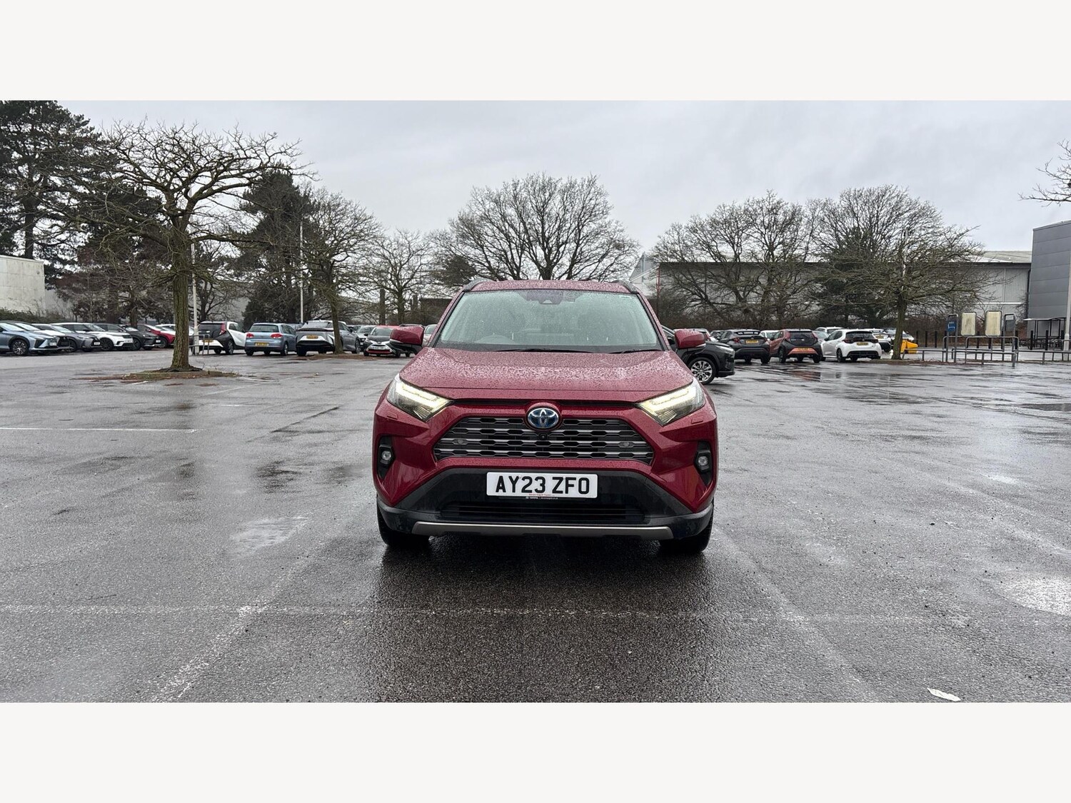 Used Toyota RAV4 2023 for sale - 77202676: Photo 17