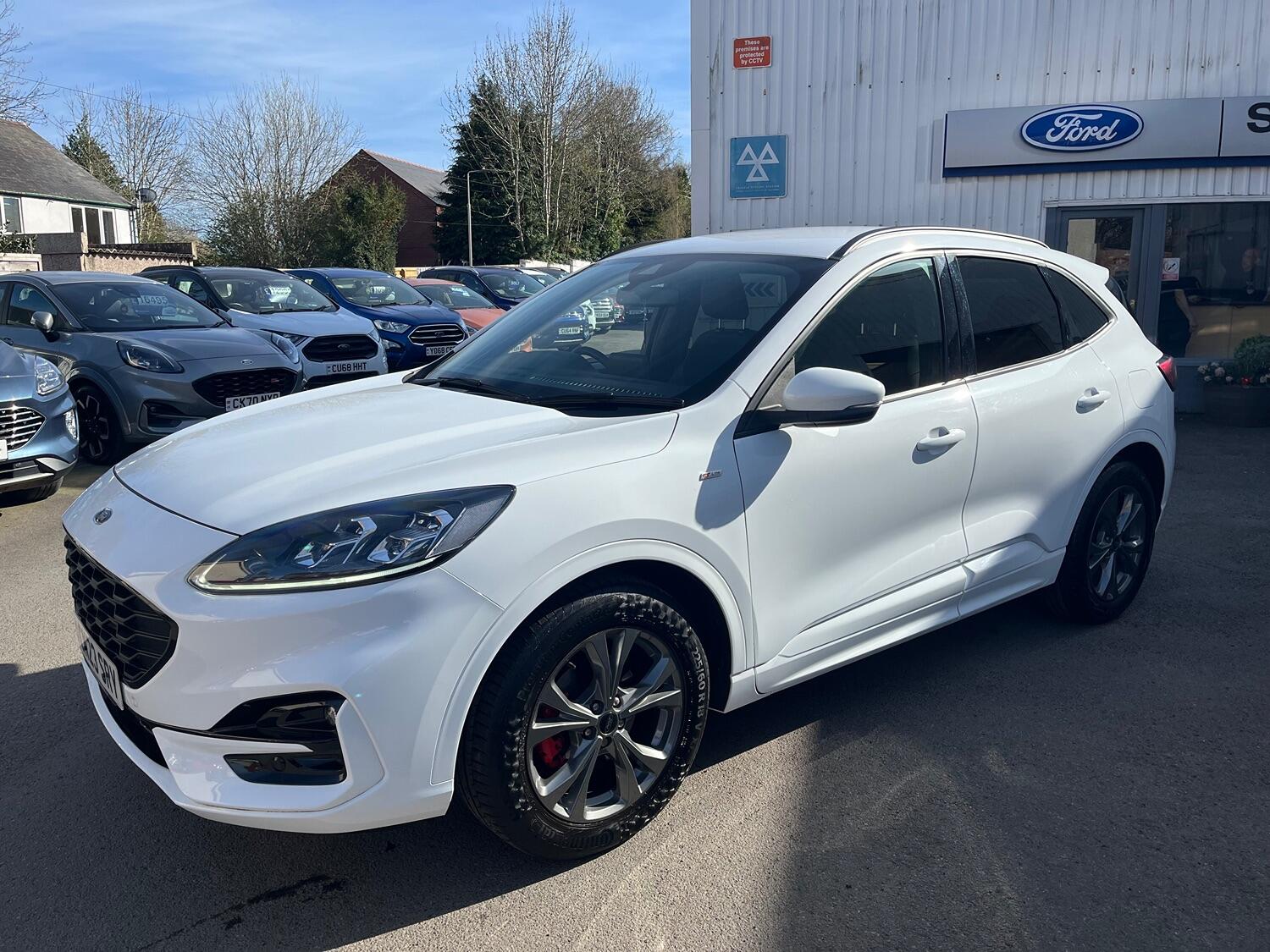 Used Ford Kuga 2023 for sale - 76793889: Photo 2