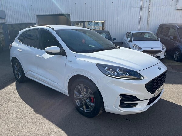 Used Ford Kuga 2023 for sale - 74158344: Photo 1