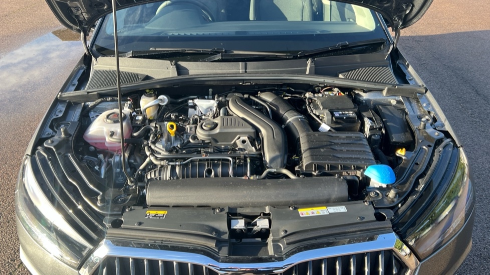 Used Skoda Fabia 2025 for sale - 76872408: Photo 17