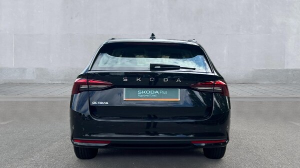 Used Skoda Octavia 2024 for sale - 75443000: Photo 11