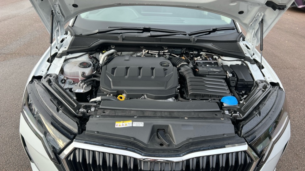 Used Skoda Octavia 2025 for sale - 76872450: Photo 17