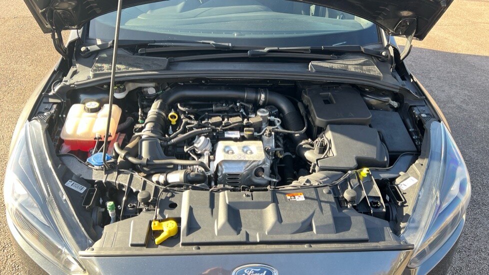 Used Ford Focus 2017 for sale - 76873964: Photo 16