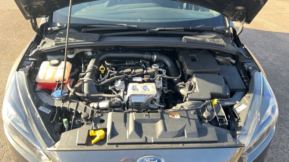 Used Ford Focus 2017 for sale - 76760714: Photo 16