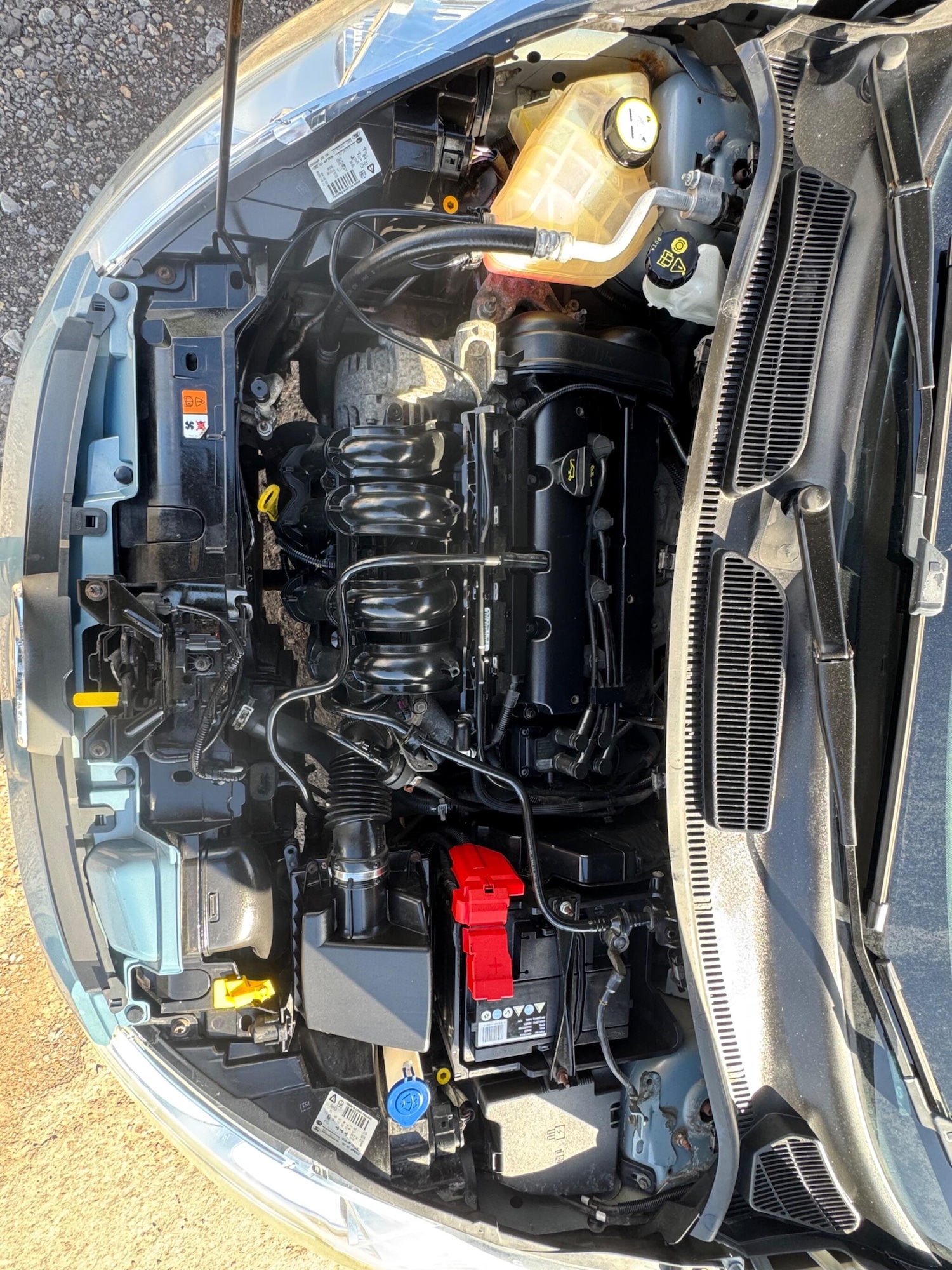 Used Ford Fiesta 2010 for sale - 78057763: Photo 13