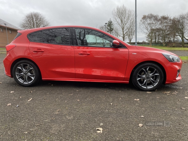 Used Ford Focus 2020 for sale - 76608673: Photo 3