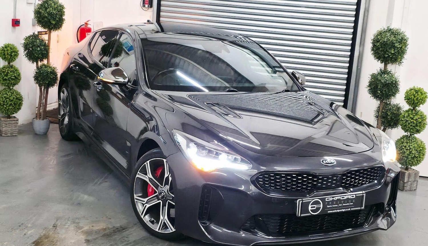 Used Kia Stinger 2017 for sale - 77482285: Photo 66