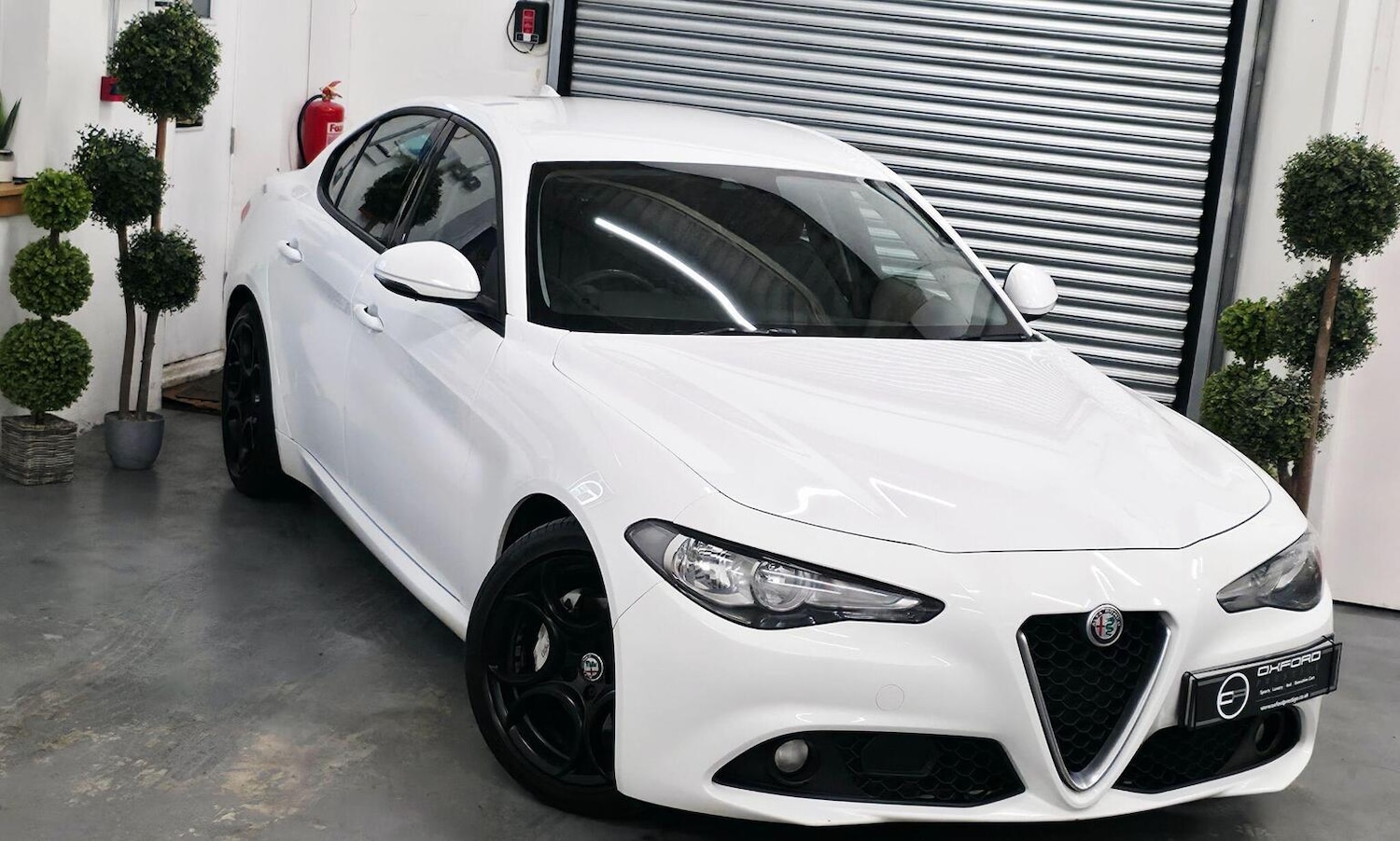 Used Alfa Romeo Giulia 2019 for sale - 77403628: Photo 1