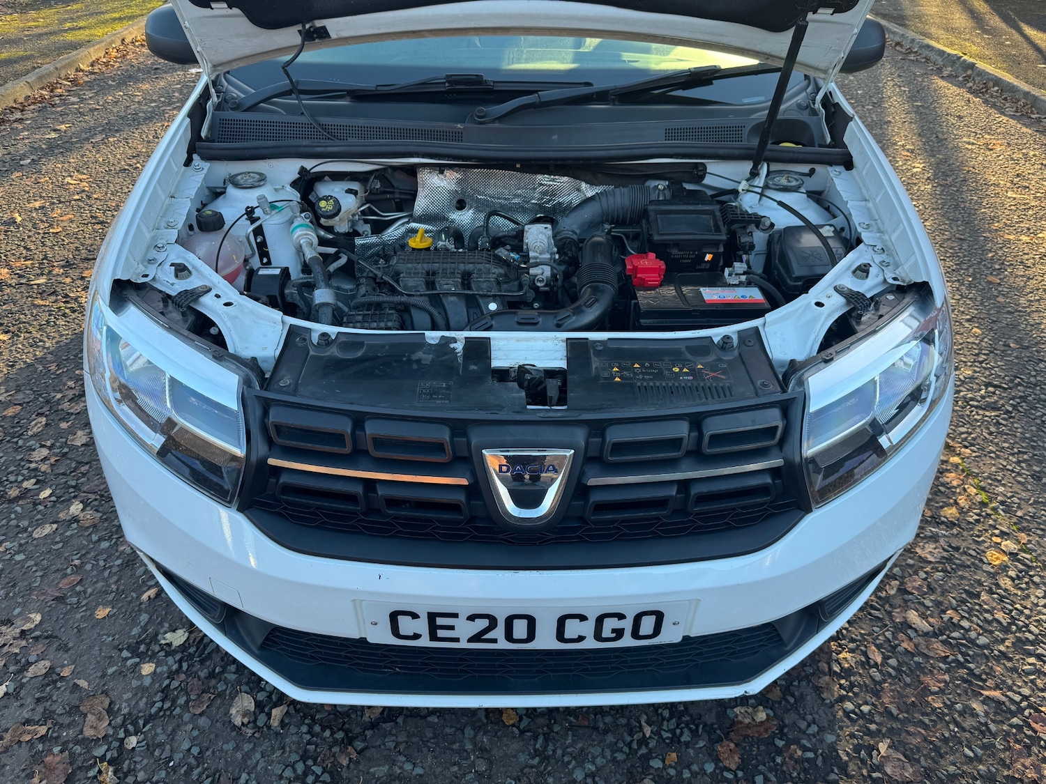 Used Dacia Sandero 2020 for sale - 76912597: Photo 14