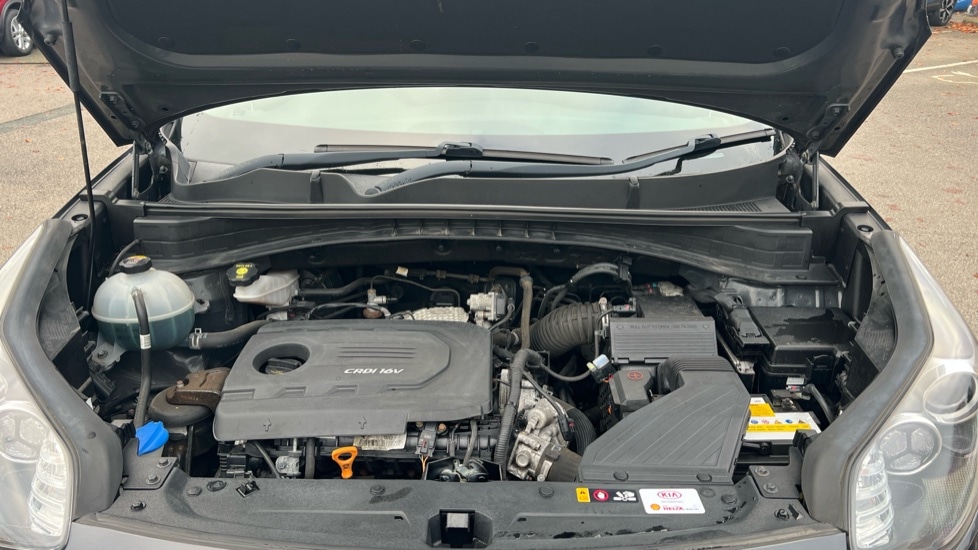 Used Kia Sportage 2016 for sale - 76507592: Photo 16