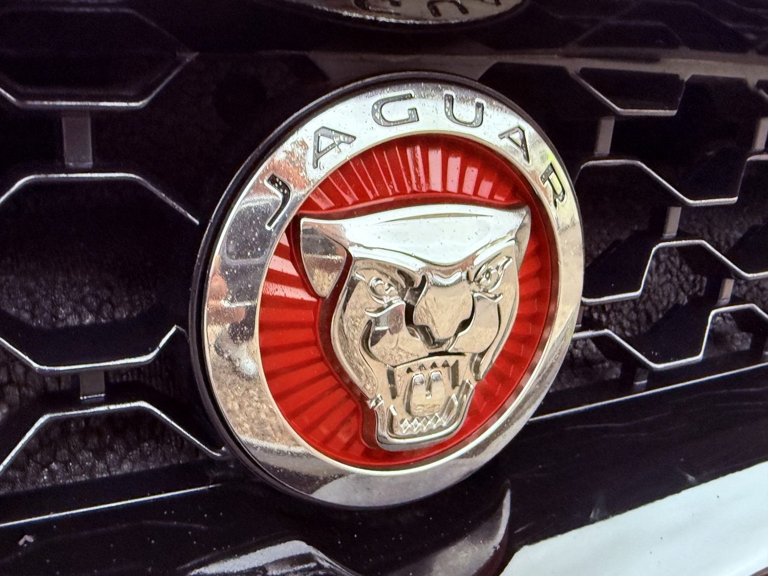 Used Jaguar F-Type 2018 for sale - 77528351: Photo 22