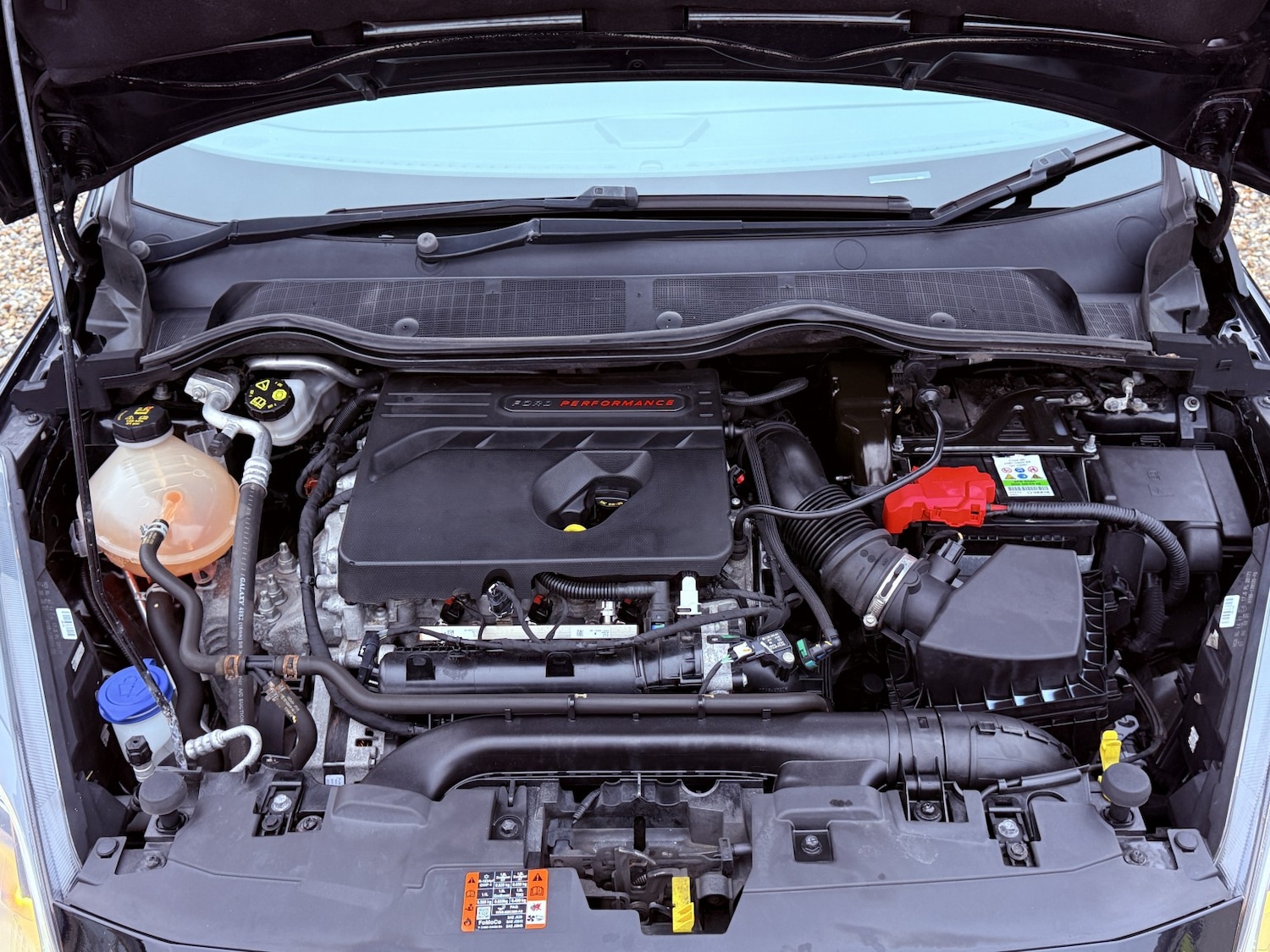 Used Ford Fiesta 2019 for sale - 77370704: Photo 53