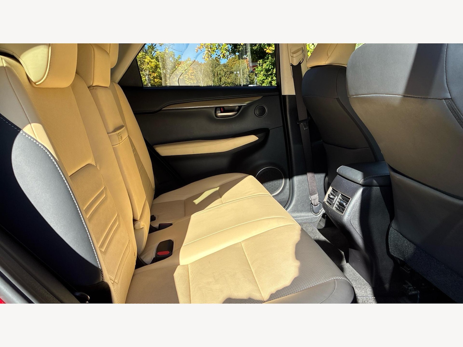 Used Lexus NX 2017 for sale - 76247008: Photo 14