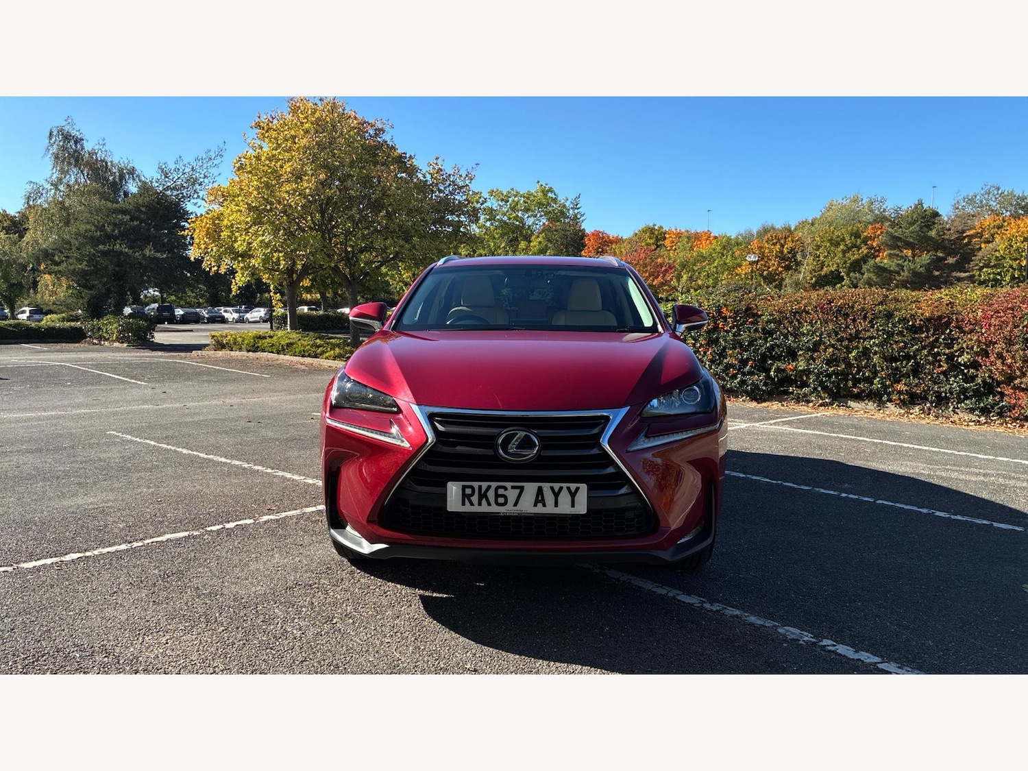 Used Lexus NX 2017 for sale - 76247008: Photo 17