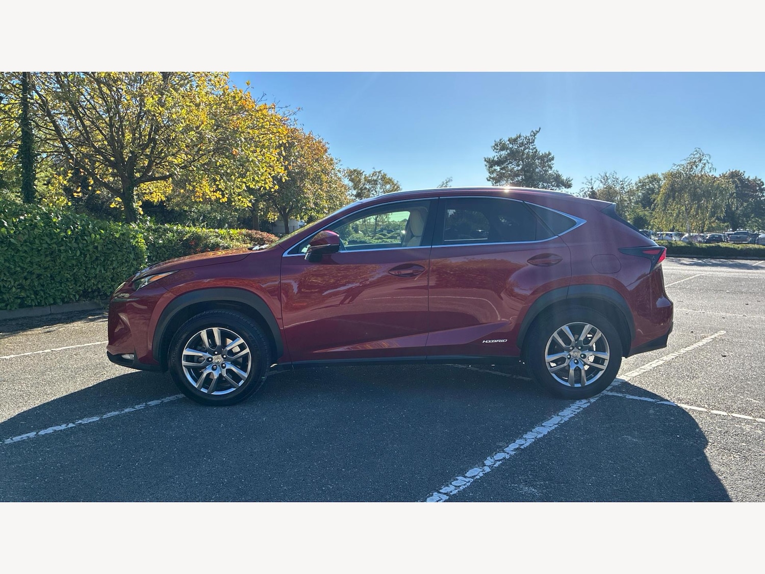 Used Lexus NX 2017 for sale - 76247008: Photo 19