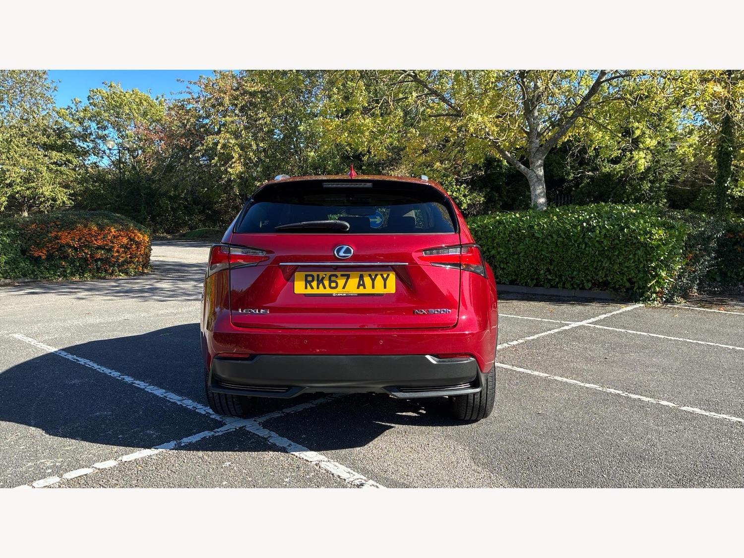 Used Lexus NX 2017 for sale - 76247008: Photo 21