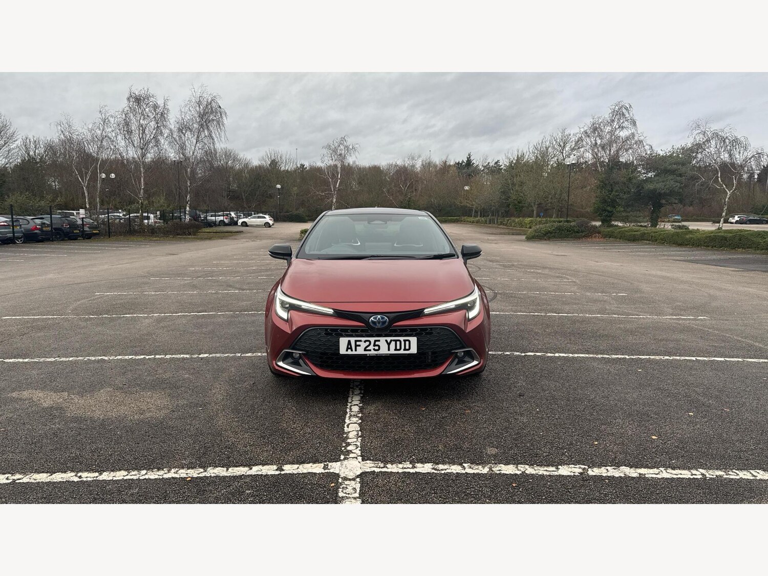 Used Toyota Corolla for sale - 77175908: Photo 17