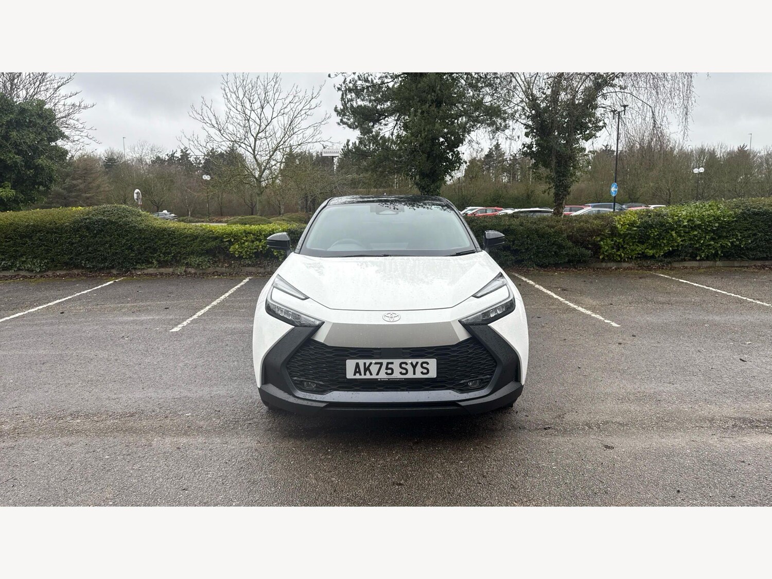Used Toyota C-HR 2025 for sale - 77723055: Photo 17