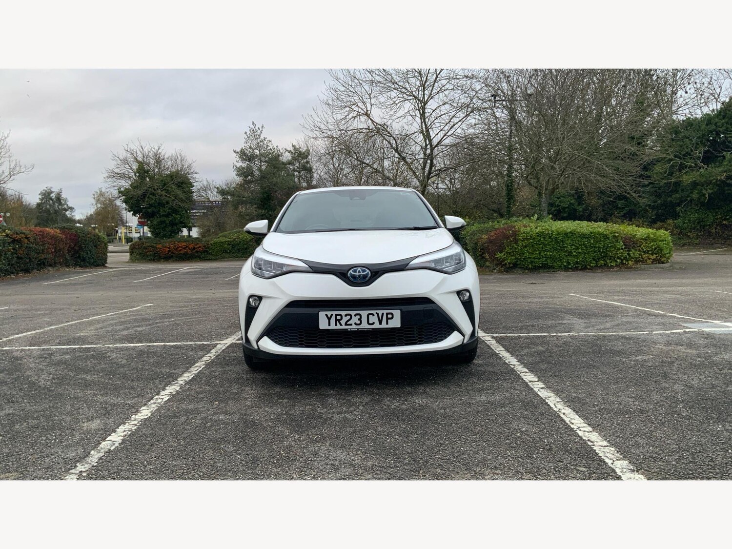 Used Toyota C-HR for sale - 77175916: Photo 17