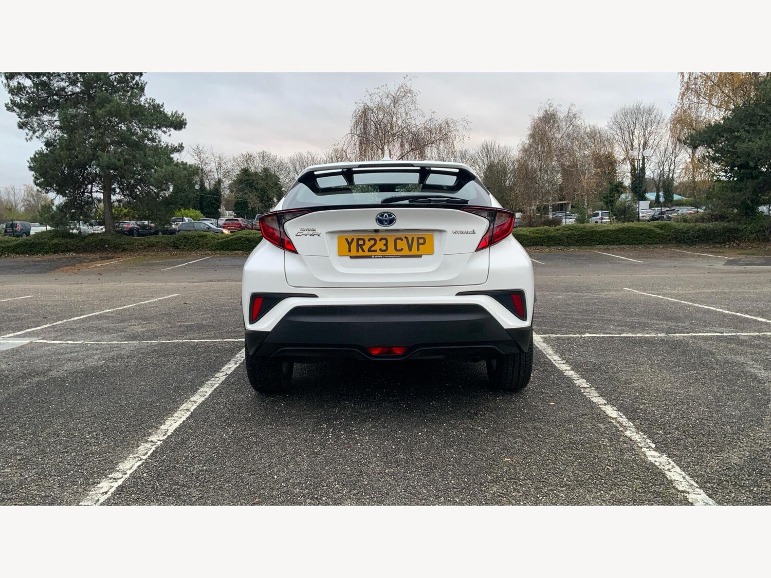 Used Toyota C-HR for sale - 77175916: Photo 21