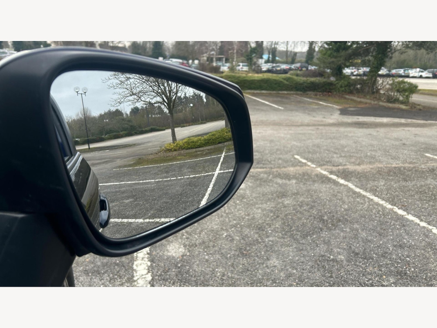 Used Toyota RAV4 2022 for sale - 77396565: Photo 28