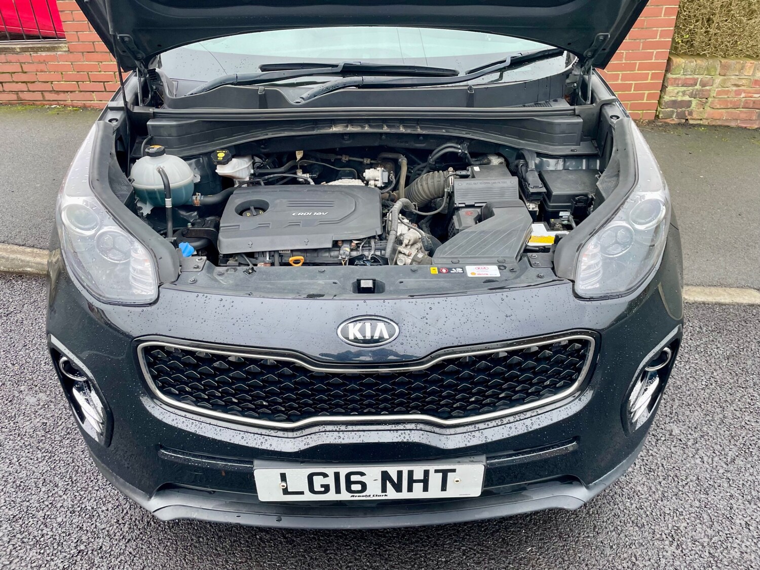 Used Kia Sportage 2016 for sale - 77701151: Photo 17